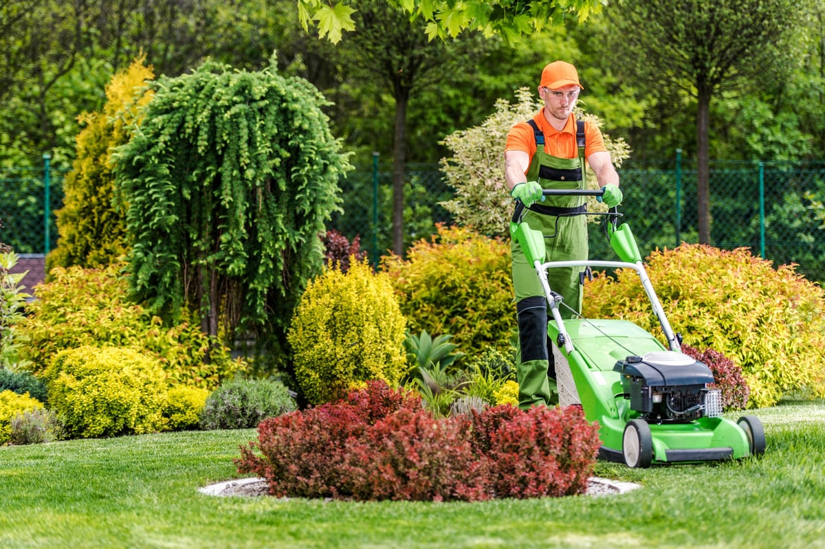 Landscaping